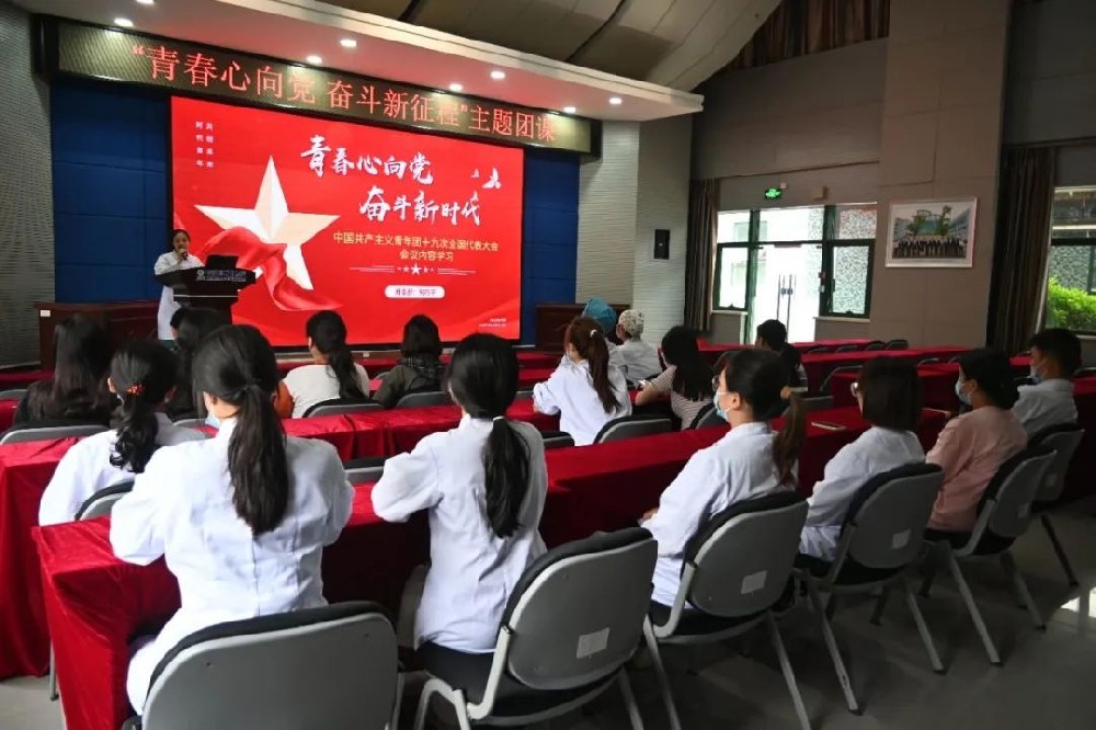 青春心向党 奋斗新征程&mdash;&mdash;我院团支部开展主题团课